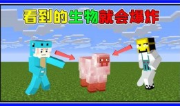 趣味生活爆料怎么做视频,轻松制作视频教程，让你的短视频火遍全网！
