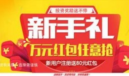 网贷平台最新爆料有哪些,揭秘行业动态与风险预警