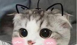 新闻联播大爆料视频,深度解析热点事件背后的真相