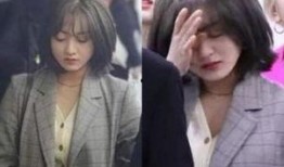 最新爆料女星名单大全视频,揭秘女星名单大全