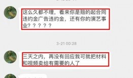 知名美记爆料视频大全,热点事件幕后真相全解析