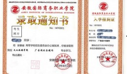 录取通知 在线观看,揭秘高校录取背后的故事