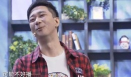 王自健被爆料了吗视频,揭秘背后真相