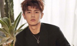 娱乐大爆料任嘉伦,娱乐大爆料中的璀璨星辉