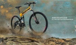 单车爆料视频下载网页版,揭秘便捷下载新方式