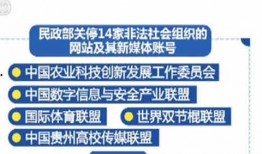 青岛新闻今日爆料,独家爆料揭示重大事件内幕
