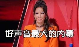 中国好声音录音爆料视频,揭秘幕后精彩瞬间