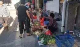 汕尾现场实拍爆料视频