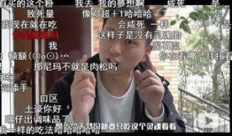 网红爆料激烈视频大全,激烈视频大全，揭秘网络背后真相