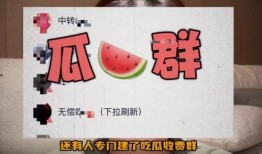 如何进入免费吃瓜群,揭秘如何轻松进入热门吃瓜群