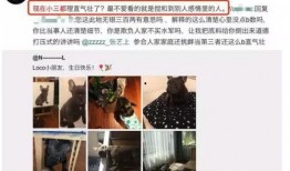 凌音阁粉丝爆料视频在线观看,独家揭秘幕后精彩瞬间