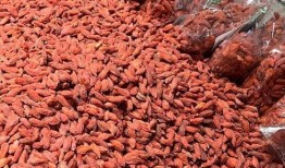 枸杞硫磺爆料视频播放下载,揭秘视频播放下载背后的真相