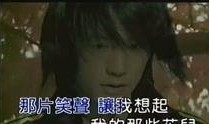 那些花儿爆料视频大全,揭秘明星幕后故事