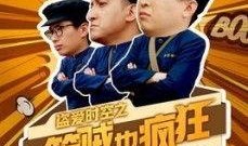 疯狂的笨贼在线观看,在线观看，笑料百出的盗宝奇遇记