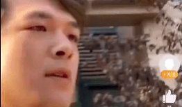 吃瓜爆料今日观看视频,今日热门视频幕后真相大曝光