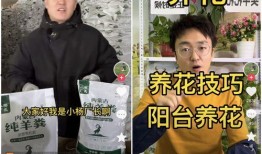 羊洋羊前男友爆料视频,揭秘背后惊人真相