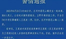 庄河最新事件爆料信息,揭秘背后真相，引发社会关注