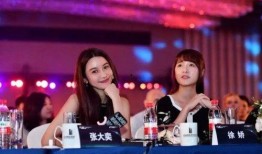 网红爆料激烈视频大全,激烈视频大全，揭秘网络背后真相