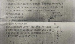 地底蚁人最新爆料消息是真的吗,揭秘地底世界真实面貌