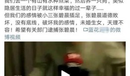 吃瓜娱乐营销号是什么,揭秘网络娱乐背后的秘密