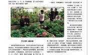 宁波爆料栏最新,揭秘近期热门事件背后的真相