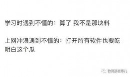 沐晴吃瓜推文免费阅读下载,免费阅读下载，揭秘娱乐圈幕后故事