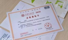 录取通知 在线观看,揭秘高校录取背后的故事