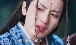 成毅富婆爆料事件视频