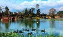 北京兴安盟最新爆料,揭秘神秘事件背后的真相