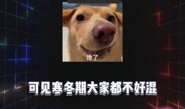 娱乐厅吃瓜,揭秘娱乐圈背后的故事与真相