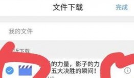 今日头条踏雪爆料视频下载