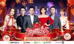 湖南卫视在线观看今晚,不容错过的视听盛宴