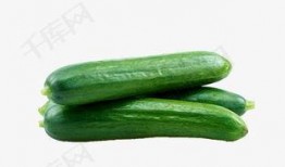 善堂网红吃瓜视频下载安装,善堂热门内容一网打尽