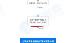 中海爆料最新消息,揭秘行业动态，洞察市场风向