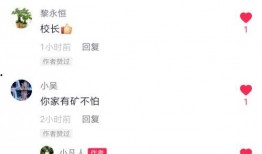 高州最新抖音爆料,揭秘当地热门事件背后的真相！”