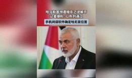 最新爆料的间谍是谁