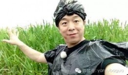 王宝强黄渤最新爆料新闻,揭秘娱乐圈幕后真相