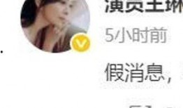 王琳回应爆料新闻,澄清事实真相