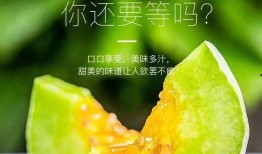 网红有什么瓜吃的,揭秘热门事件背后的那些“瓜”