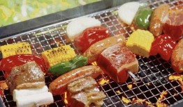 自助烧烤爆料视频教程大全,自助烧烤视频教程大全解析