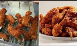 爆料炸鸡大叔图片搞笑视频,爆笑视频引网友热议