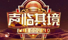 娱乐爆料配音素材库,素材库中的声音传奇