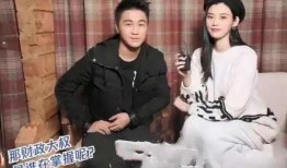 汪姐儿子合伙人爆料视频,揭秘背后惊人内幕