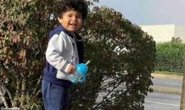 路妈赵兰被爆料的视频,揭秘背后惊人真相