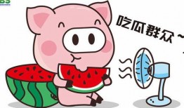 娱乐吃瓜酱网购,轻松get时尚好物
