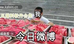 吃瓜最新爆料视频大全集,最新爆料视频大全集深度解析