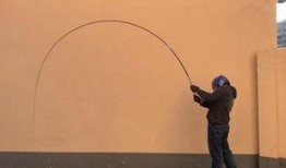 科学钓鱼爆料视频教程,跟随专业教程，轻松掌握钓鱼技巧