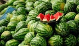 善堂网红吃瓜视频下载安装,善堂热门内容一网打尽