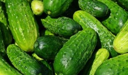 718sx娱乐吃瓜备用,吃瓜群众必备的备用资讯平台