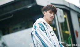 娱乐大爆料任嘉伦,娱乐大爆料中的璀璨星辉